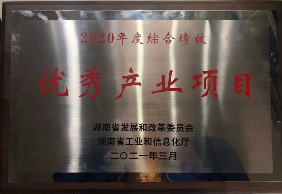 beat365官网获评湖南“2020年度综合绩效优秀产业项目”
