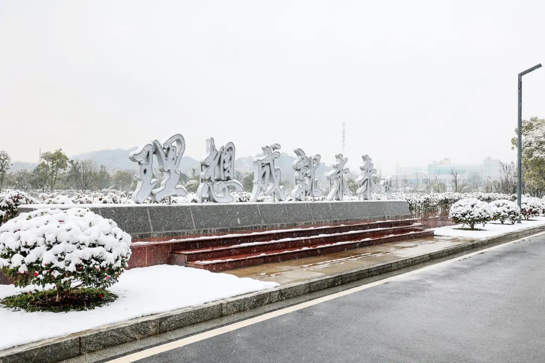 瑞雪兆丰年，邀您共赏雪中beat365官网！